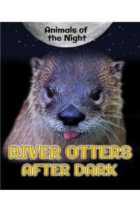 River Otters After Dark