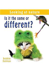 Is It the Same or Different?
