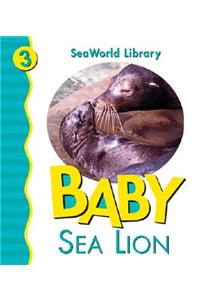 Baby Sea Lion San Diego Zoo
