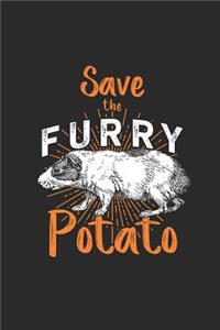 Save The Furry Potato