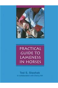 Practical Guide to Lameness in Horses