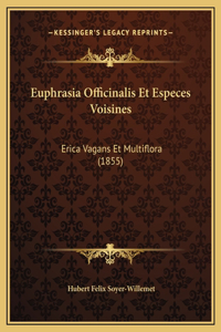 Euphrasia Officinalis Et Especes Voisines