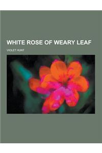 White Rose of Weary Leaf