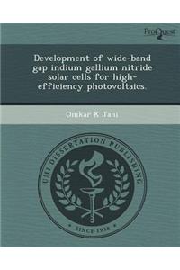 Development of Wide-Band Gap Indium Gallium Nitride Solar Cells for High-Efficiency Photovoltaics