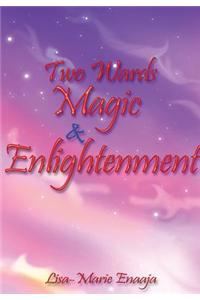 Two Wards Magic and Enlightenment
