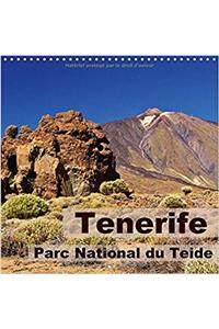 Tenerife - Parc National Du Teide 2018