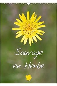 Sauvage En Herbe 2018
