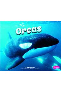 Orcas