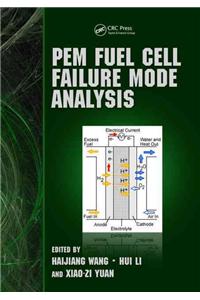 PEM Fuel Cell Failure Mode Analysis