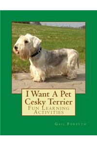 I Want A Pet Cesky Terrier