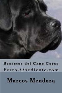 Secretos del Cane Corso