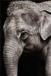 MindBlowing Elephant Journal 4