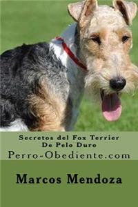 Secretos del Fox Terrier De Pelo Duro