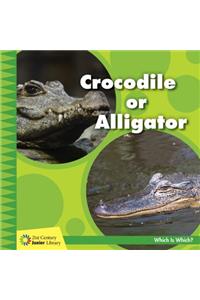 Crocodile or Alligator