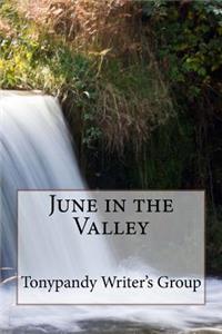 June in the Valley