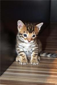 Bengal Kitten Cat Journal