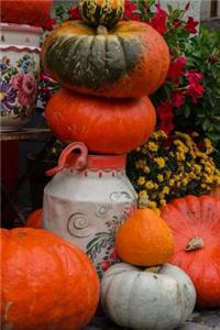 Autumn Pumpkins in Ulm, Germany Journal