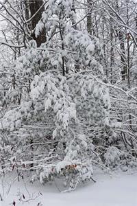 Beautiful Winter Weather Journal