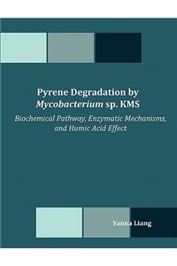 Pyrene Degradation by Mycobacterium sp. KMS