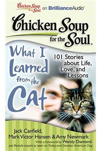 Chicken Soup for the Soul What I learned from the Cat