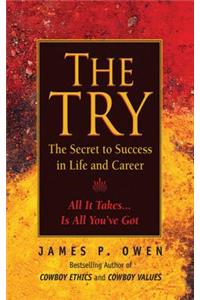 Try: Reclaiming the American Dream
