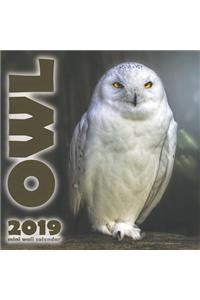 The Owl 2019 Mini Wall Calendar