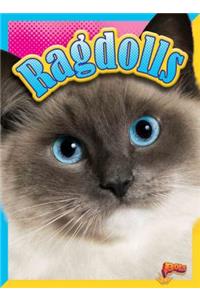 Ragdolls