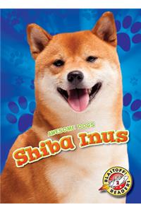 Shiba Inus