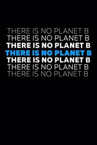 There Is No Planet B