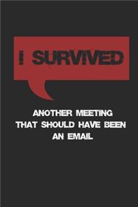 I Survived Another Meeting That Should Have Been An Email Lined Notebook