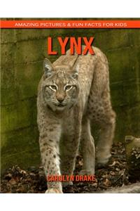 Lynx