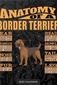 Anatomy Of A Border Terrier