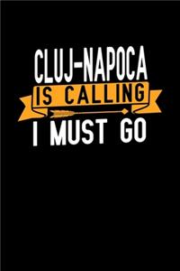 Cluj-Napoca is calling I Must go
