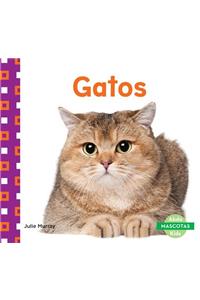 Gatos (Cats)
