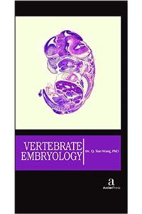 Vertebrate Embryology