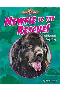 Newfie to the Rescue!