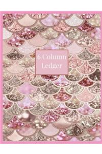 6 Column Ledger