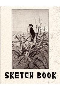 Sketch Book - Large Notebook for Drawing, Doodling or Sketching 8.5