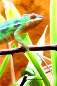 Chameleon Notebook