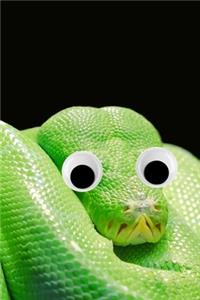 Googly Eye Python Journal