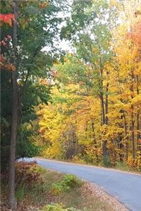 2020 Weekly Planner Pretty Fall Colors Country Road 134 Pages