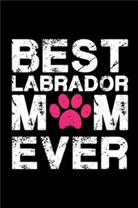 Best Labrador mom ever