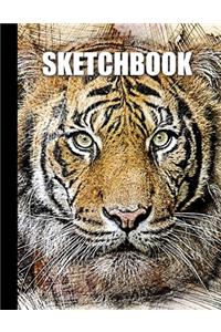 Sketchbook