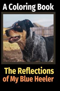 Reflections of My Blue Heeler