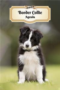 2020 Border Collie Agenda