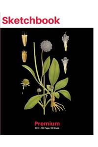 SketchBook