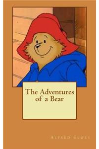 The Adventures of a Bear