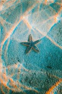 The Lone Starfish Dive Journal: Bullet Notes and Sketches