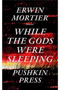 While the Gods Were Sleeping