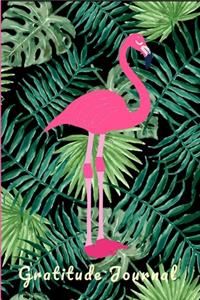 Gratitude Journal